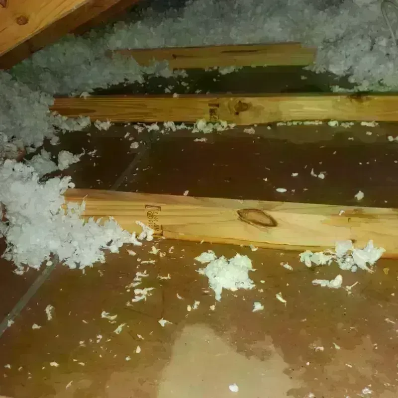 Attic Water Damage in Mansfield, LA