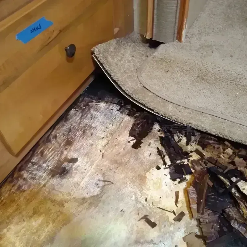 Best Wood Floor Water Damage Service in Mansfield, LA